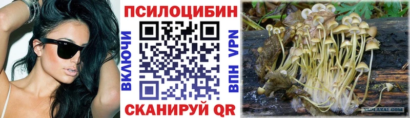где продают наркотики  Лахденпохья  Псилоцибиновые грибы Magic Shrooms 